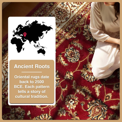 Sarouk Red Traditional Rug Well Woven