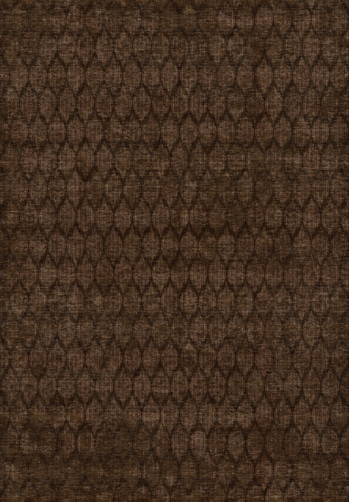 ARTWORK PREVIEW - W-AP-98A - Apollo Brackenline Area Rug — Espresso / Beige. Not a finished-rug photograph.