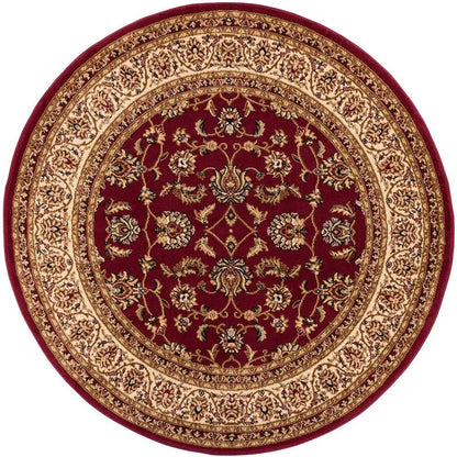 Sarouk Red Traditional Rug Well Woven